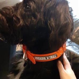 Meet your Posher, Logan